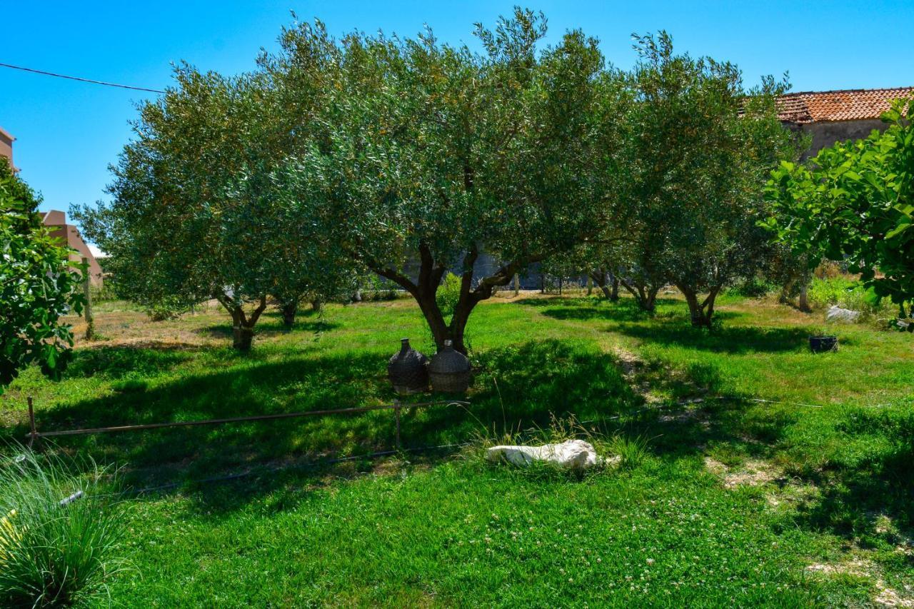 Villa Kutija Sveti Filip i Jakov Exteriör bild