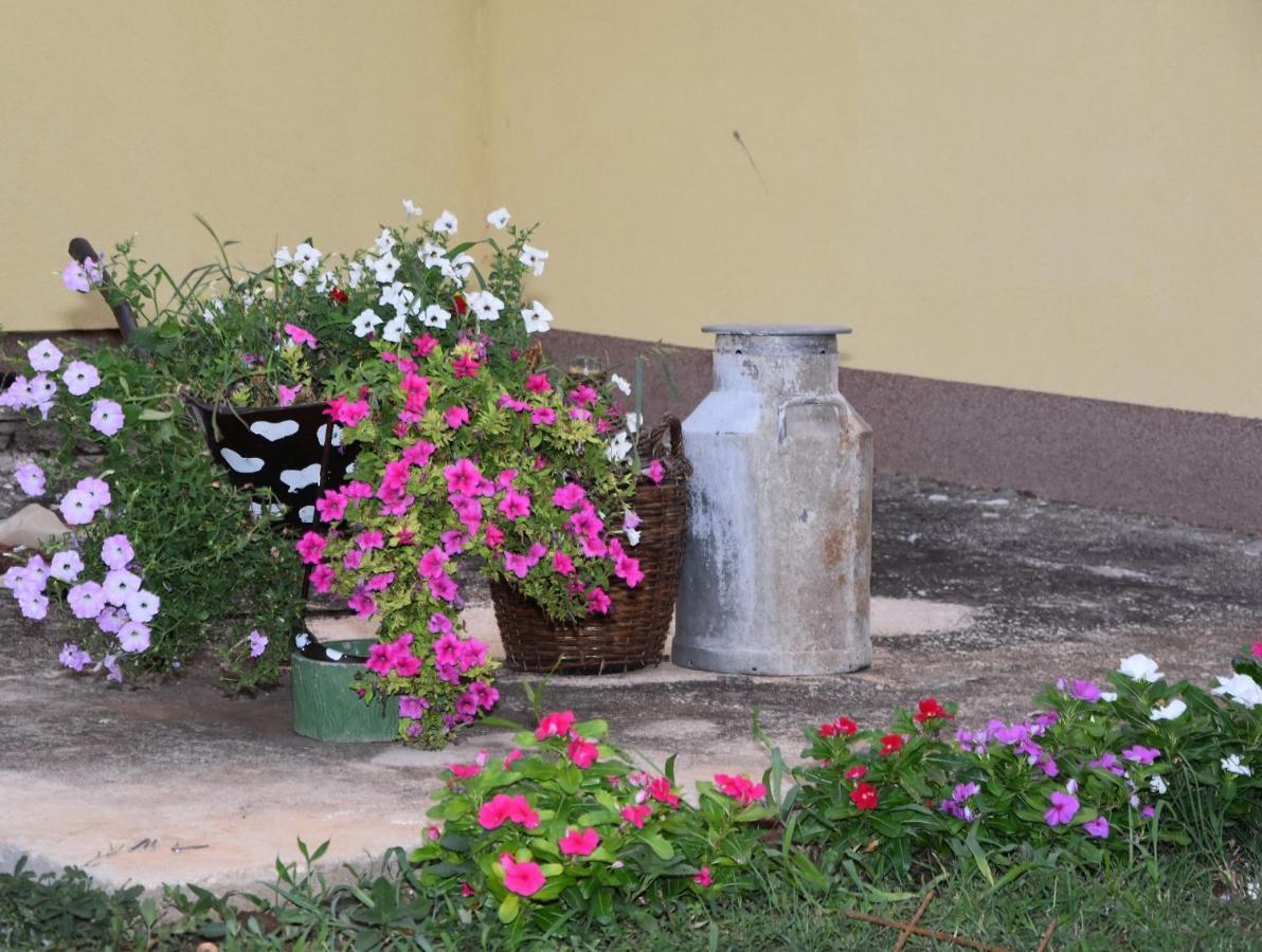 Villa Kutija Sveti Filip i Jakov Exteriör bild